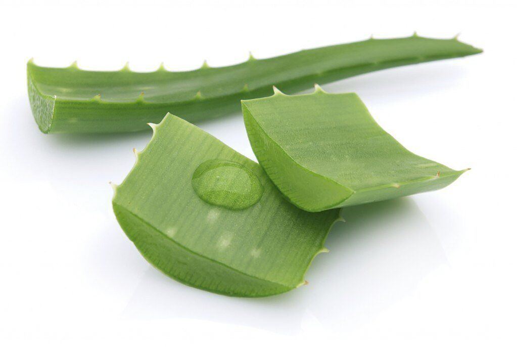 Aloe para o tratamento da osteocondrose torácica